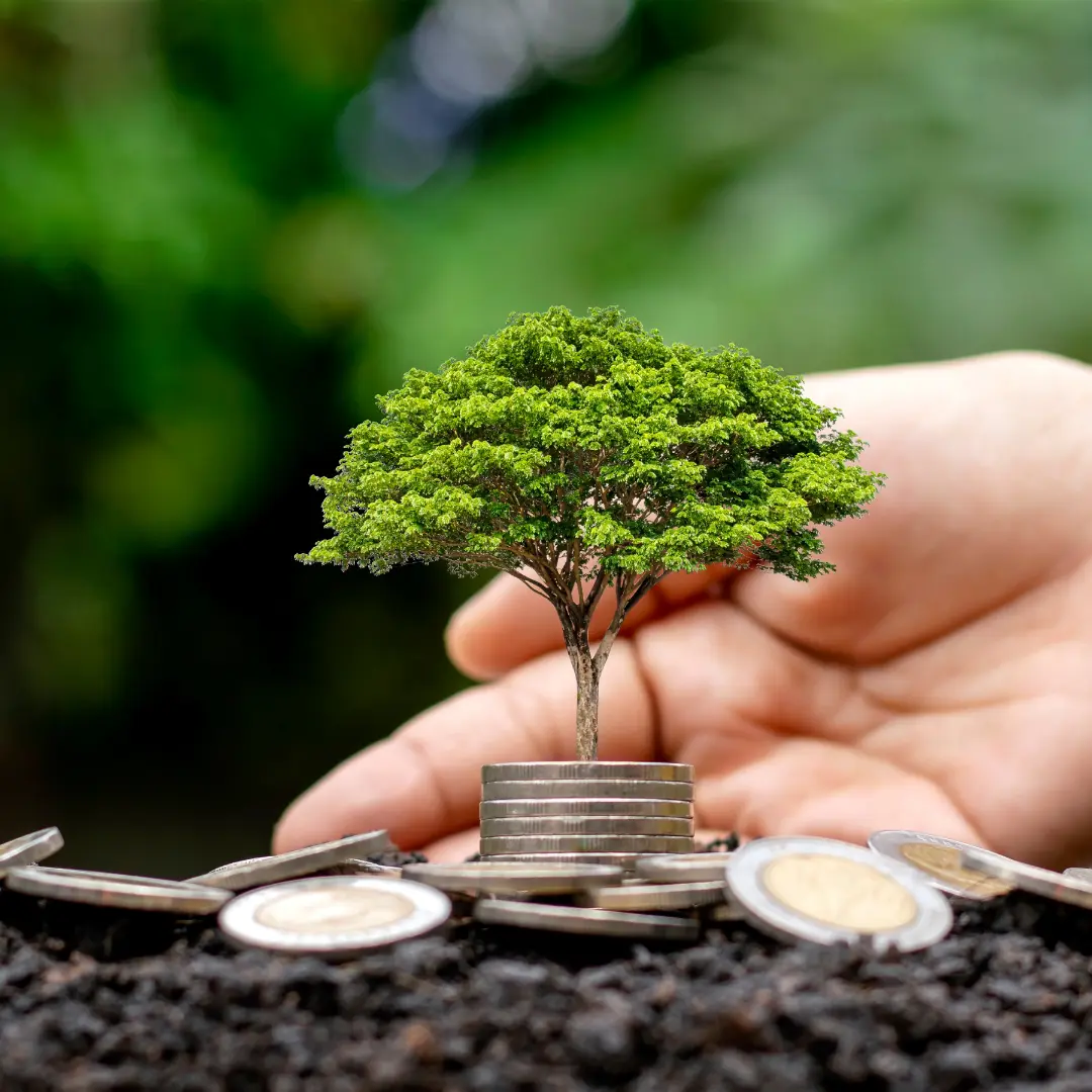 Kennedy Kha Phan – Tăng Trưởng Tài Chính Bền Vững và Kế Hoạch Dài Hạn – Trang Giới Thiệu Một cây non mọc trên các chồng tiền xu được nâng đỡ bằng bàn tay, tượng trưng cho tăng trưởng tài chính bền vững và kế hoạch dài hạn.